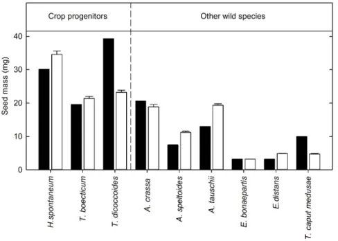 Figure 1. Initial seed mass in the three crop progenitors and six wild species. The black bars show the mean seed mass of accessions used in experiment 1 and the white bars show those used in experiment 2 (+SE)