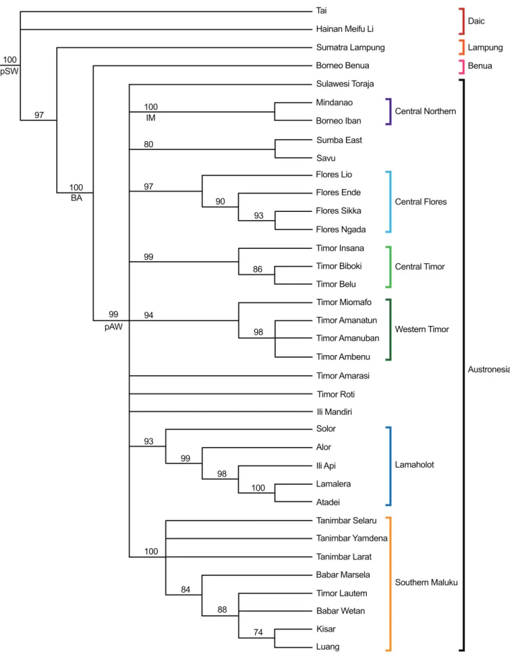 Figure 7. Results of Bayesian analysis of weaving taxa. 70% majority rule cladogram of 1000 trees sampled from a 10,000,000-step MCMC search using flat priors, variable character-change rate