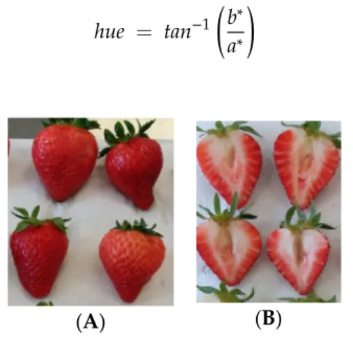 Figure 1. Representation of strawberry fruit area used for colour and texture determination: surface  (whole fruits) (A) and internal (divided fruits) (B)