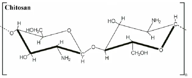 Figure 2 - Chemical structure of chitosan. (López-García et al., 2014). 