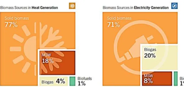 Fig. 2.12. Fuentes de Biomasa para la generación global  de Calor y Electricidad. 