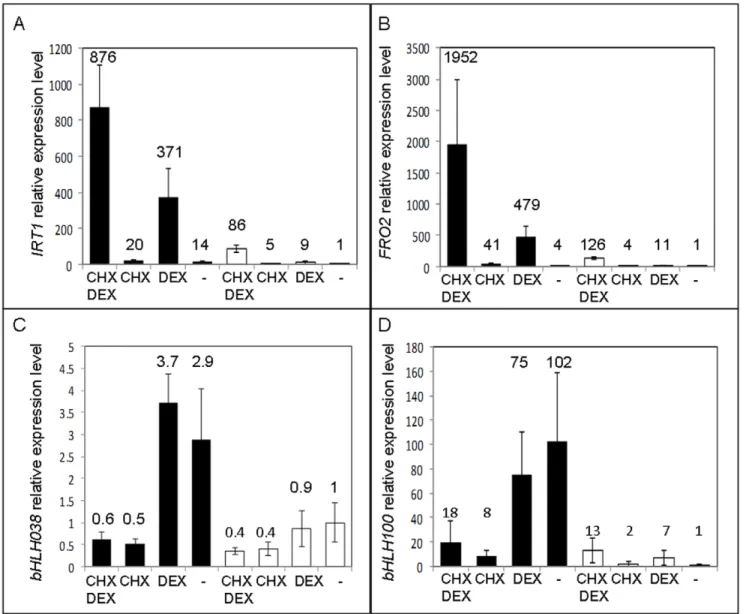 Figure 3. Phylogeny and identification of bhlh100/bhlh101 double mutant. Phylogenetic tree of closely related bHLH genes involved in the iron-deficiency response