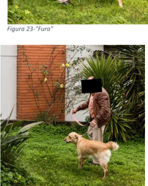 Figura 25-"Passear o animal -1ªvolta" 