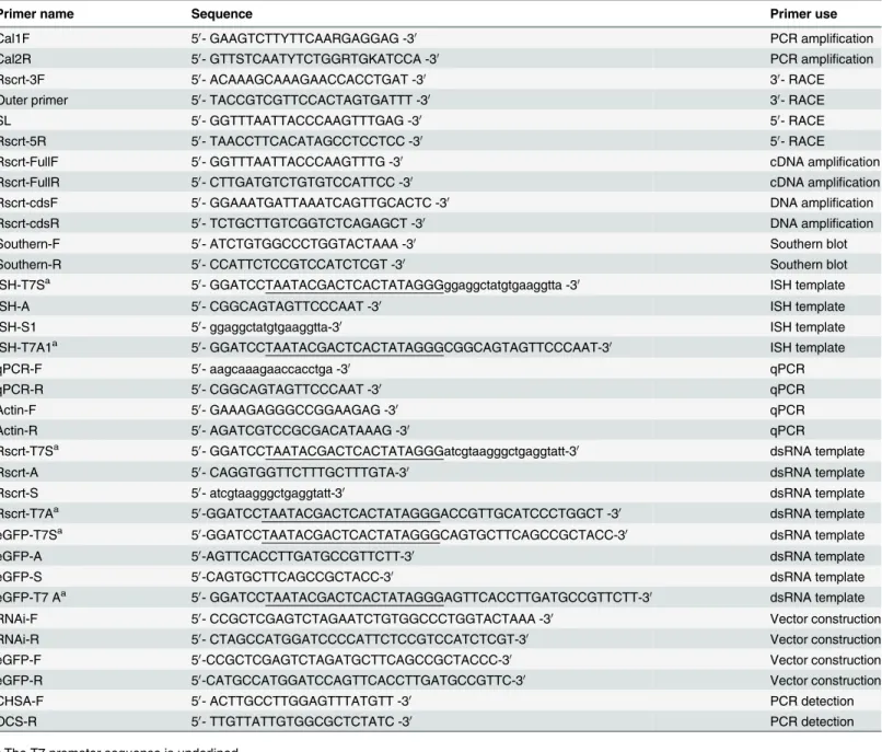 Table 1. Primers used in this study.