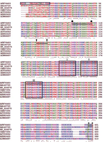 Fig 1. Multiple sequence alignment of the predicted Radopholus similis Rs-CRT protein with other nematode CRT proteins