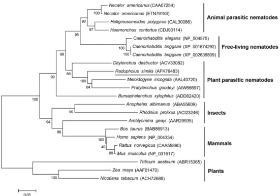 Fig 2. Neighbor-joining phylogenetic tree of CRT proteins. The phylogram was constructed according to the amino acid sequences of 22 CRT proteins from 20 different species using MEGA 5.0