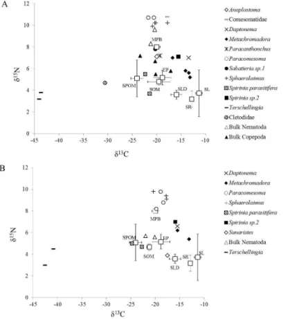 Fig. 3. δ 13 C/δ 15 N biplots of meiobenthos from the upper 2 cm and their potential resources in seagrass beds (A) and bare sediments (B)