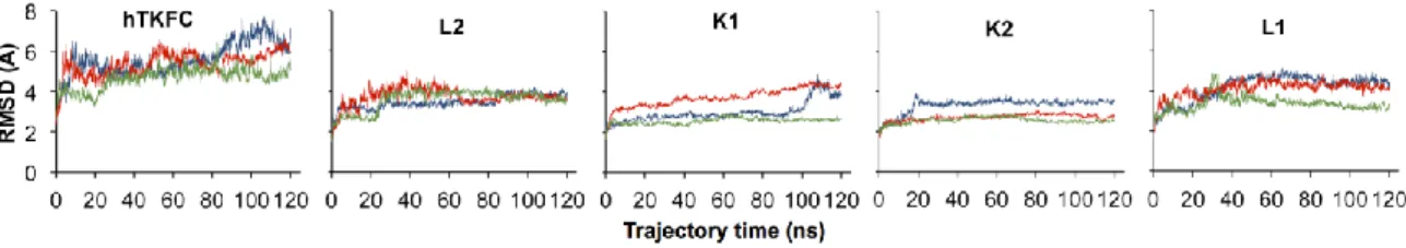 Figure  5.  Molecular  dynamics  of  hTKFC  and  its  complexes  with  kinase  or  cyclase  substrates