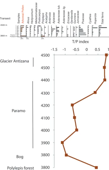 Fig. 4. (a) Pollen diagram showing the modern pollen rain along a transect between Antizana glacier (4500 m) and Papallacta bog (3800 m) for the main taxa