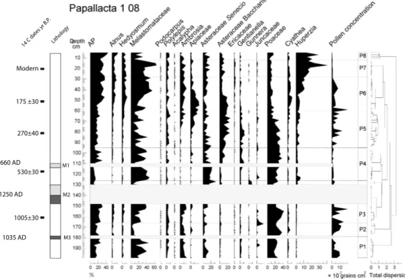 Fig. 5. Synthetic pollen diagram of core PA 1-08. Changes in arboreal pollen and 17 key taxa are presented along a depth scale