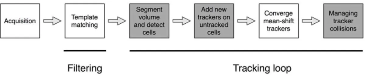 Table 1. Related works on 3D cell tracking.