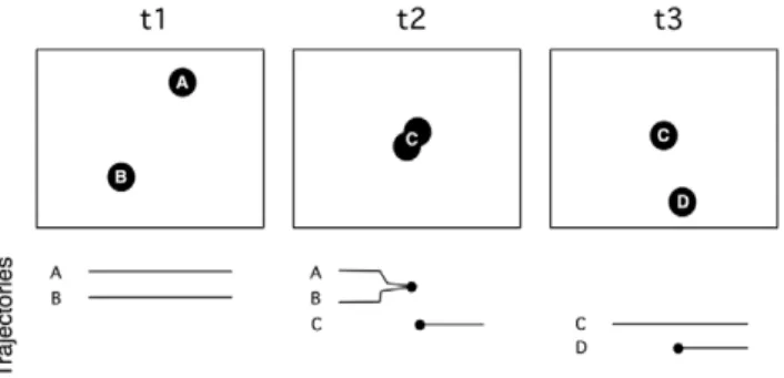Figure 4 presents a schematized situation of two cells touching and parting. Initially at t1 two trackers (A and B) are correctly tracking their respective cells