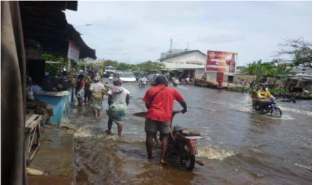 Figure 2: State of t he study area during wet season