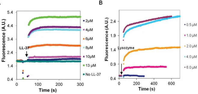 Figure 1. Polymerization of MgATP-G-actin by LL-37 and lysozyme at low ionic strength MgATP-G-buffer