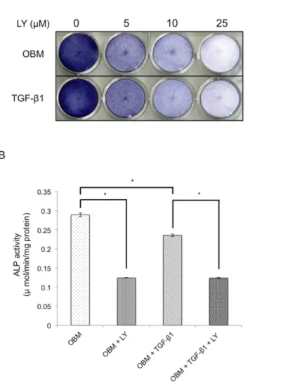 Figure 1. Abrogation of PI3K signaling inhibits TGF-b1-mediated osteoblast differentiation in MC3T3- MC3T3-E1 cells