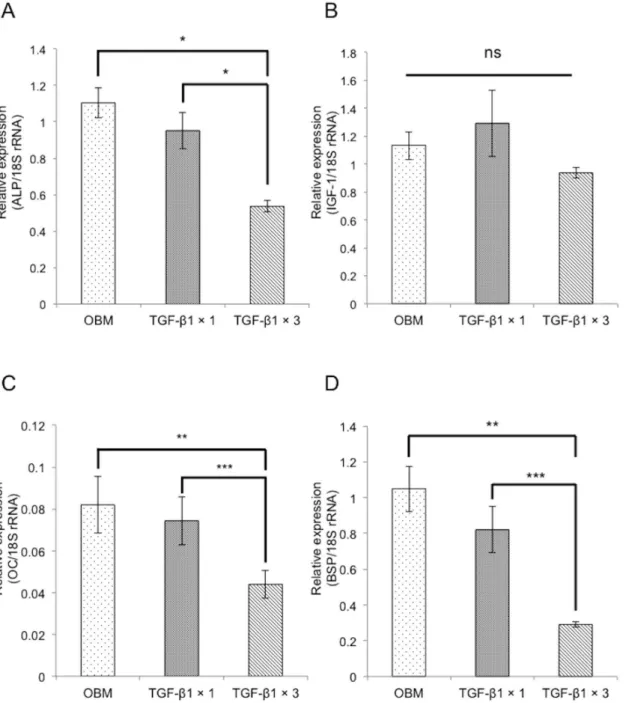 Figure 2. Repeated TGF-b1 treatment inhibits expression of osteoblast differentiation markers in MC3T3-E1 cells