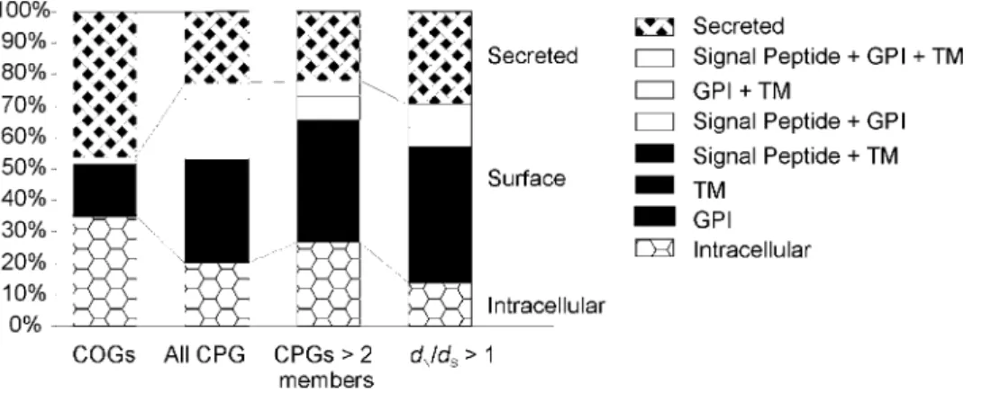 Figure 2. Histogram of predicted location of COG and CPG genes. Protein products were tested for transmembrane (TM) domains, secretory signal sequences and glycosylphosphatidylinositol (GPI) anchor sequences