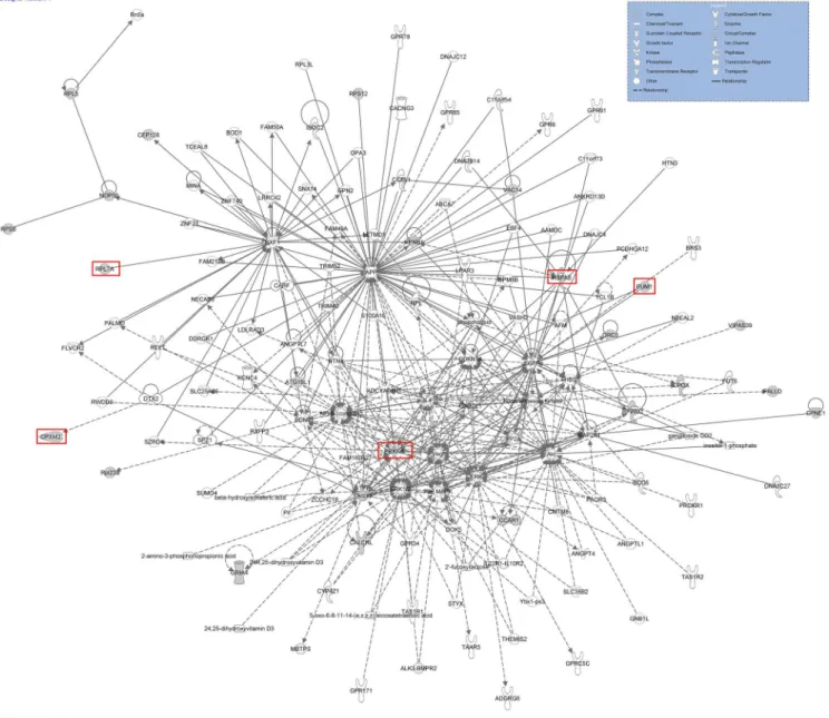 Fig 10. Potential network of 22 piRNAs genes. Different shapes indicate different functions in different pathways