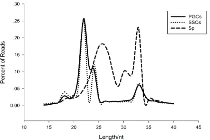 Fig 2. Length distribution of small RNAs in the three types of cells.