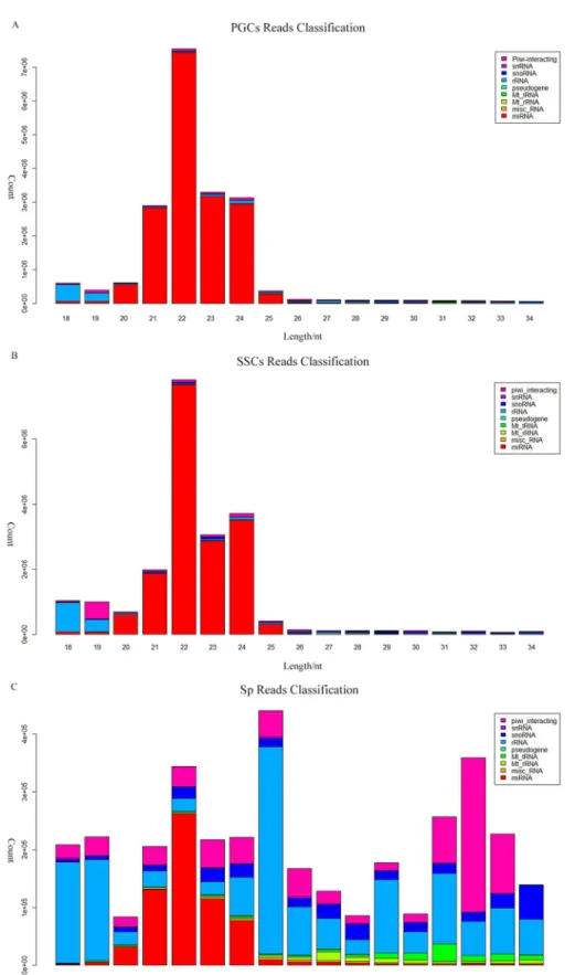 Fig 3. Classification and annotation of small RNAs from different cell types. Small RNAs from (A) PGCs, (B) SSCs, and (C) Sp cells were shown