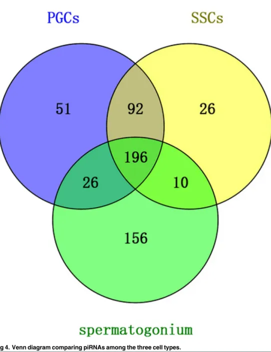 Fig 4. Venn diagram comparing piRNAs among the three cell types.