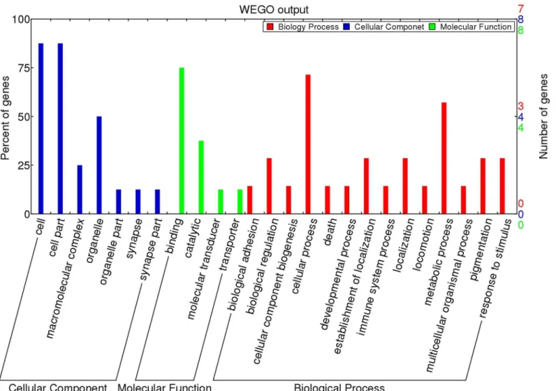 Fig 5. Gene Ontology classification of piRNAs target genes which were found in all three cell types (PGCs, SSCs, and Sp cells).
