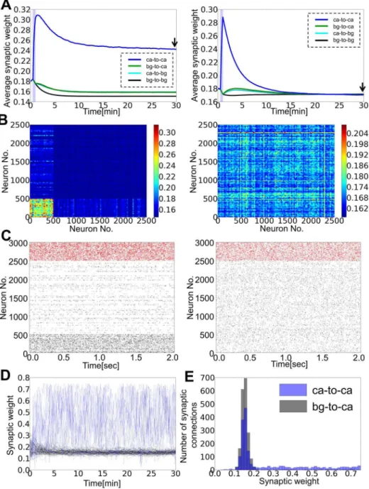 Figure 3. Strong STD disturbs cell assembly retention. (A) Time evolution of average synaptic weights within the selected cell assembly (blue), from background excitatory neurons to the assembly (green), from the assembly to background neurons (cyan), and 