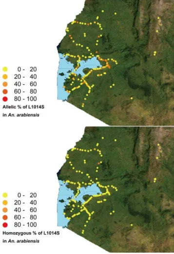 Figure 5. Enlarged images of An. arabiensis L1014S allelic and homozygous frequency distributions in western Kenya.