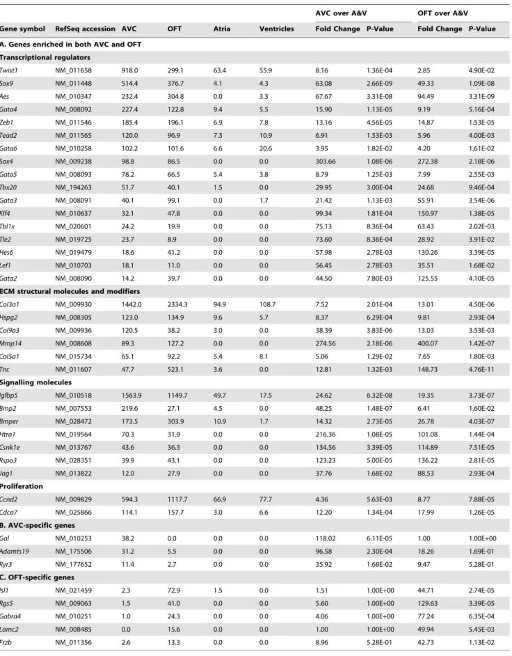 Table 2. Selected Genes Enriched in the AVC and/or OFT.