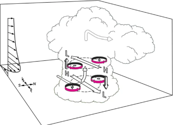 Figure 6. A schematic showing the distribution of dynamical pressure perturbations (marked by “H” for anomalous high and “L” for anomalous low) relative to a mature storm cell in an environment with the presence of a westerly low-level jet (LLJ) and wester