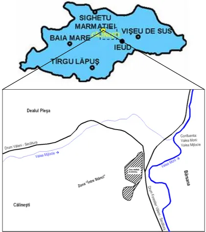 Fig. 1. The natural zeolite tuff quarry in Călineşti – Bârsana  area, Maramureş County) 