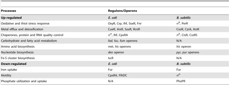 Table 1. Top up-regulated and down-regulated processes and regulons/operons in PGRP-treated E