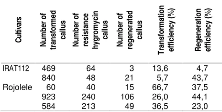 table transformation efficiency and regeneration of cv.