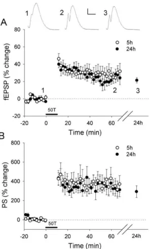 Figure 2. LTP-related gene expression 20 min, 5 h and 24 h post-LTP induction. Alterations in mRNA transcript number identified 20 min, 5 h and 24 h post-LTP, as detected using Affymetrix RAT 230 2.0 microarrays; note increase in proportion of downregulate