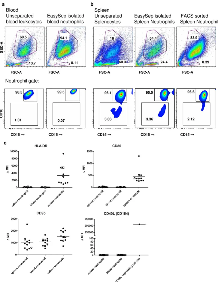 Figure 3. Expression pattern of splenic neutrophils does not differ from the expression pattern of circulating neutrophils