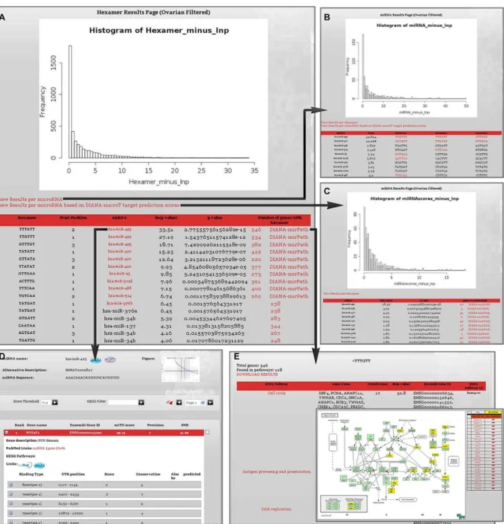 Figure 4. Results Page and links (Epithelial Ovarian Cancer). Genes upregulated and miRNAs downregulated in late stage Epithelial Ovarian Cancer (EOC) compared to early stage EOC were run through DIANA-mirExTra