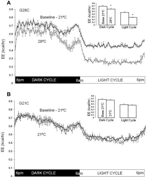 Figure 2. Effect of increased ambient temperature (T a ) on total energy expenditure (EE) in G28C and G21C groups