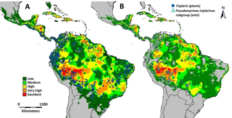 Fig 5. Range of distribution for Triplaris (A) and Pseudomyrmex triplarinus subgroup (B) as predicted by DIVA-GIS
