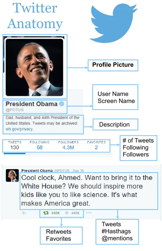 Figure 2.2: Twitter Anatomy.
