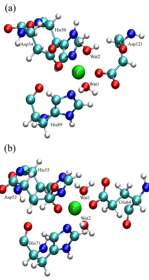 Figure 8. Conformations of the active site in two proteins: (a) Ab PncA and (b) Sp Nic after the dissociation of NAM.