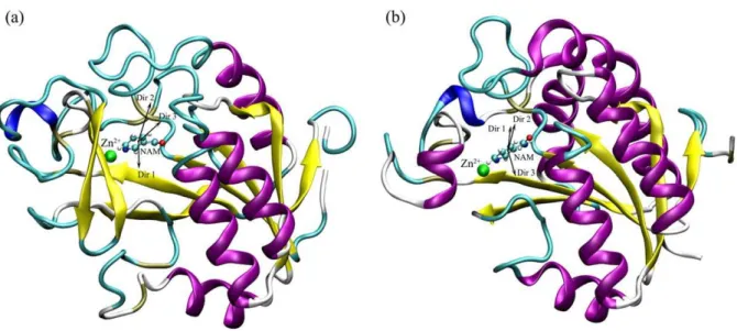 Figure 3. Six profiles of the applied forces along Direction 2 in Ab PncA.
