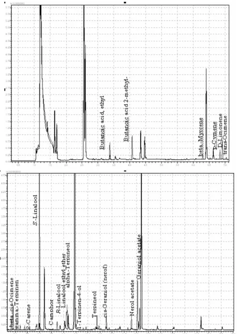 Figure 3. The identification of differences between the composition of raw material wine (white) and “Muscat” 