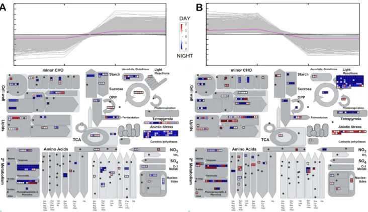 Figure 5. Overview of day/night modulated transcripts (fold change . 2; pval adj , 0.05) in each developmental stage