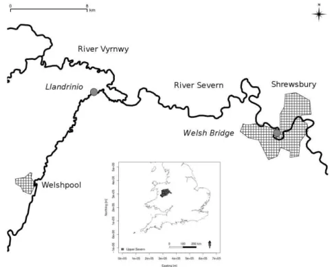 Fig. 1. Schematic map showing the upper River and Vyrnwy tributary which both flow from west to east