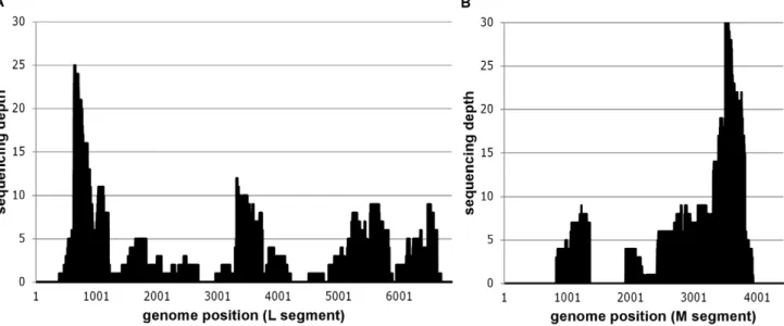 Table 1. SBV virus quantification and confirmation by DNase SISPA-NGS in selected field samples from Belgium.