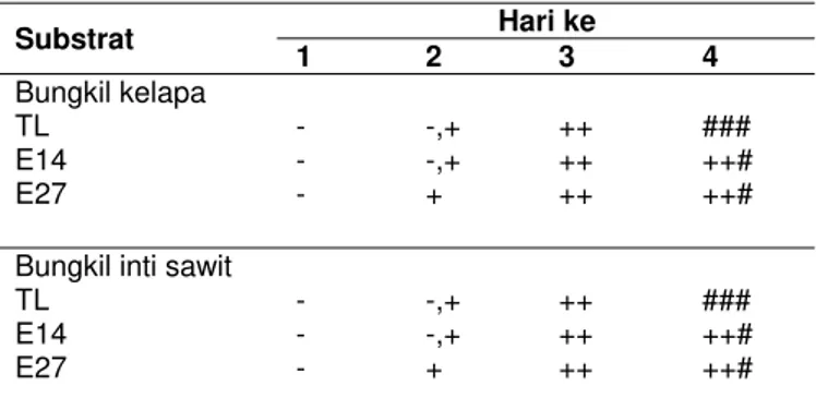Tabel 2. Pertumbuhan A. niger TL, E14, dan E27 pada substrat bungkil kelapa dan bungkil inti sawit.