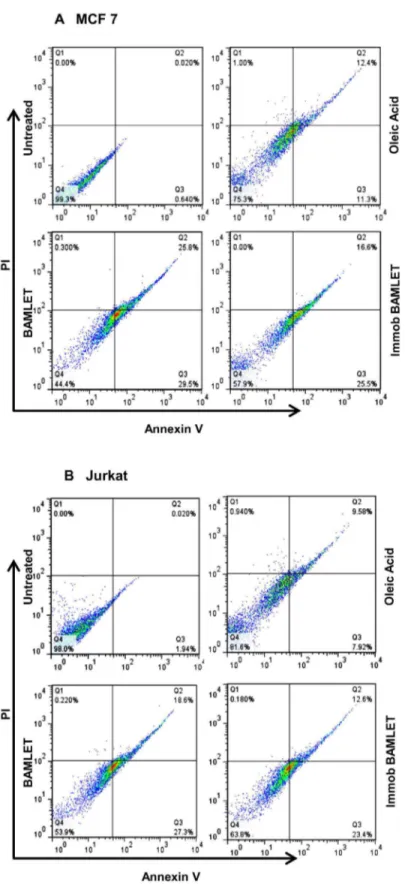 Figure  7.    A  comparison  of  BAMLET-induced  apoptosis  and  necrosis  in  MCF-7  (A)  and  Jurkat  cells  (B)