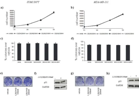 Fig 4. Vitamin D anticancer effects in vitro on ER( – ) breast cell lines with AG Cdx2 status