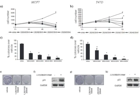 Fig 5. Vitamin D anticancer effects in vitro on ER(+) breast cell lines with different Cdx2 status