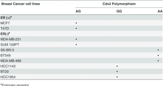 Table 2. Cdx2 status in human breast cancer cell lines by ER status.